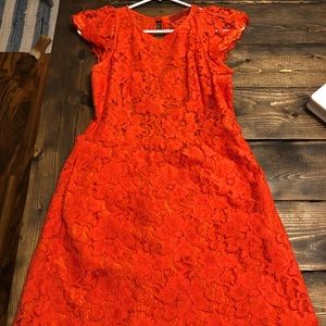 Backless lace dress minidress